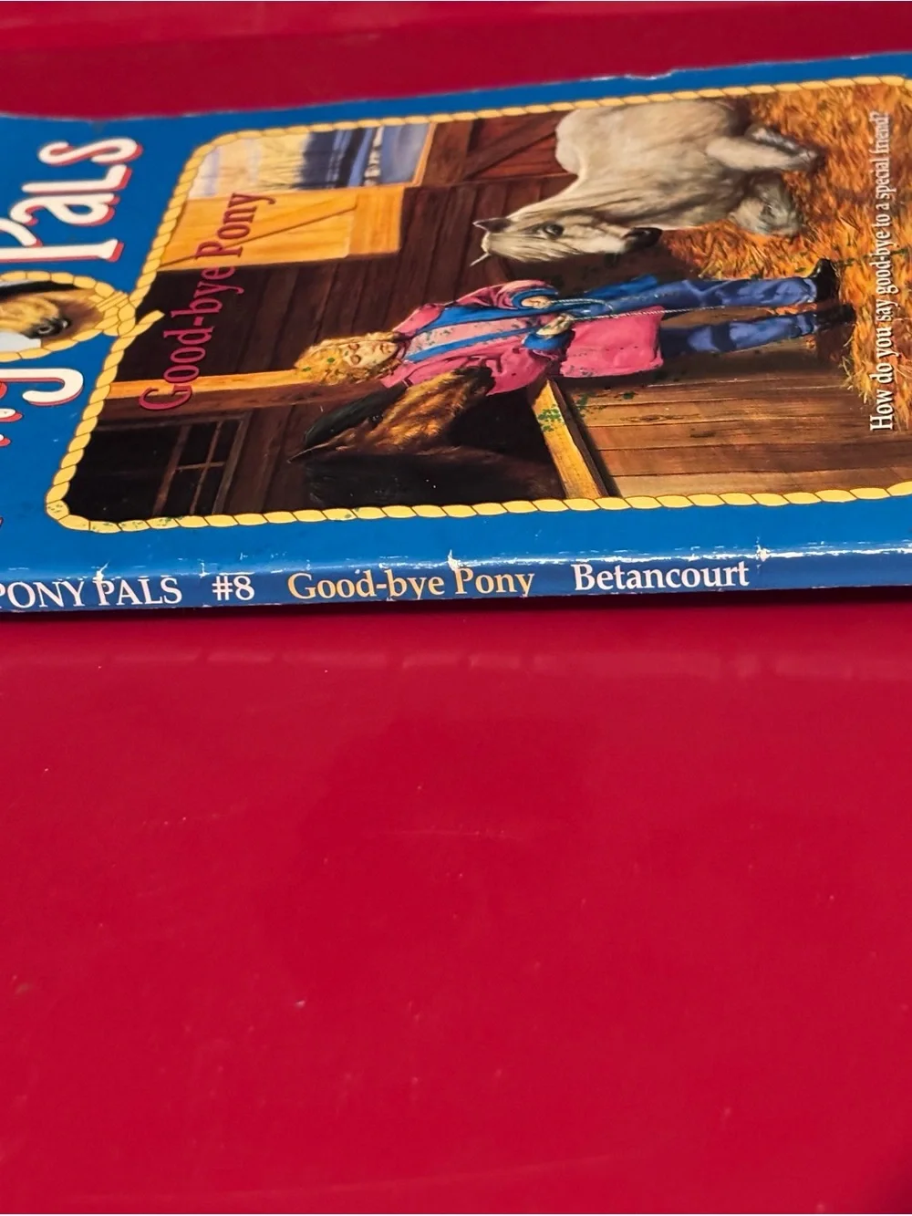 Scholastic Pony Pals Book - Blue Cover with Pink Jacket